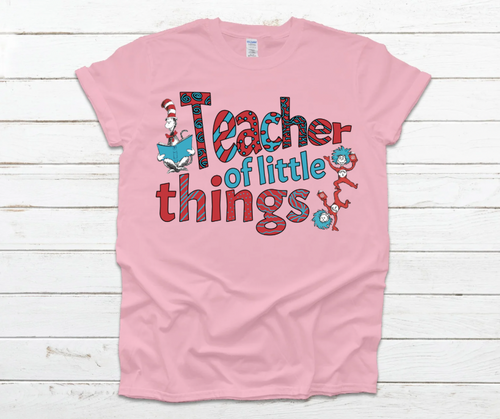 Teacher of Little Things