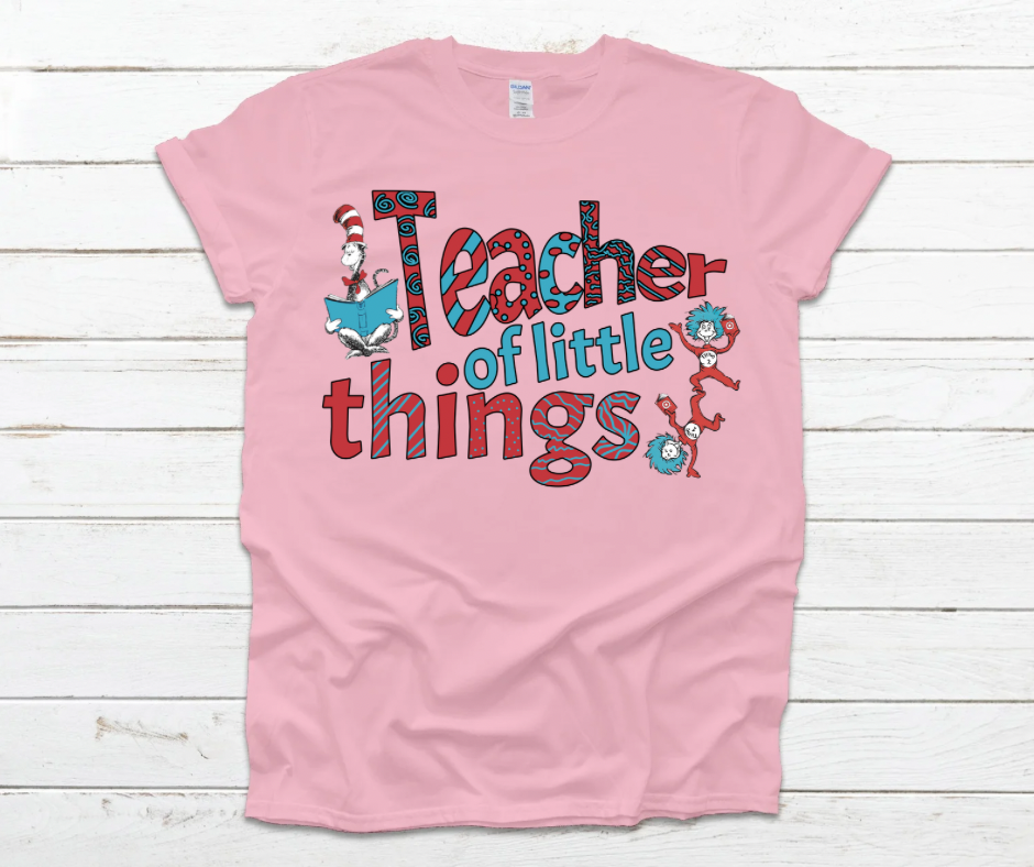 Teacher of Little Things